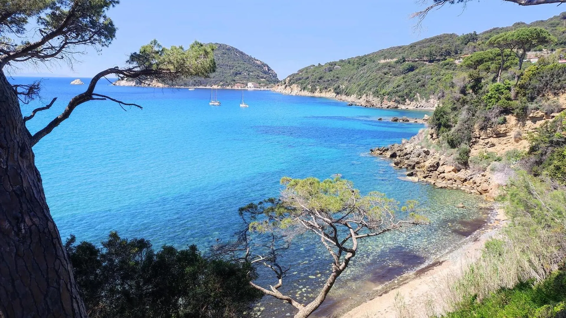L'Amica Di Napoleone Elba Island Apartment Portoferraio